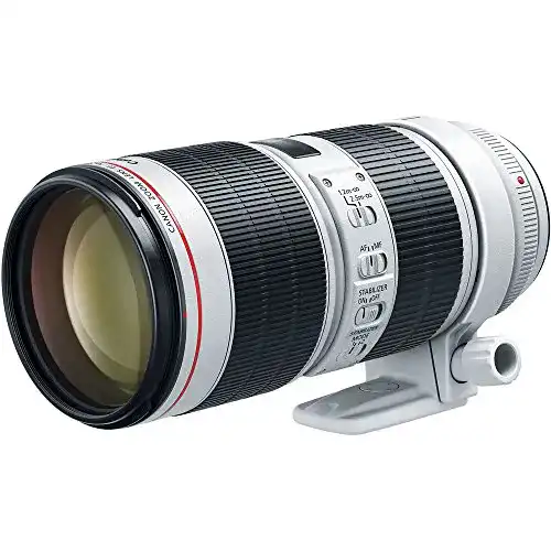 Canon-Objektiv Canon Telezoomobjektiv EF 70-200mm F2.8L IS III