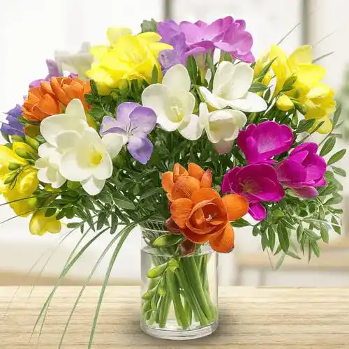 Blumenstrauß Rosenbote – 20 bunte Freesien – Strauß inklusive