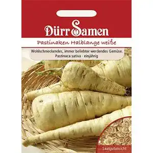 Pastinakensamen Dürr-Samen Pastinaken Halblange weiße