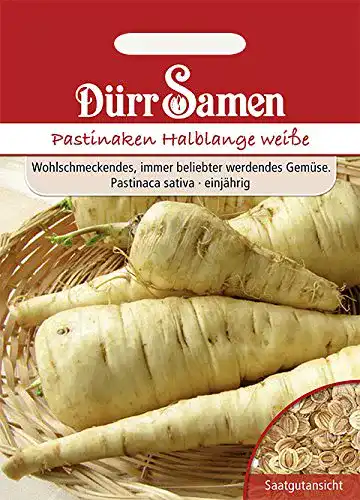 Pastinakensamen Dürr-Samen Pastinaken Halblange weiße