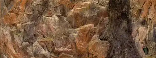 Aquarium-Rückwand 3D 100×40 Fels mit Wurzel