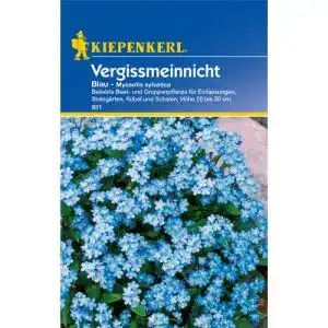 Vergissmeinnicht-Samen Kiepenkerl Vergissmeinnicht ‘Blau’