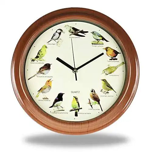 Die beste Vogeluhr Monsterzeug Wanduhr, 12 verschiedene Vogelstimmen 2026 Test Bestseller Vogeluhr Monsterzeug Wanduhr, 12 verschiedene Vogelstimmen