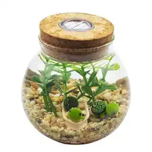 Goldfischglas OMEM Set Mini, Lichter, kleine Schildkröten