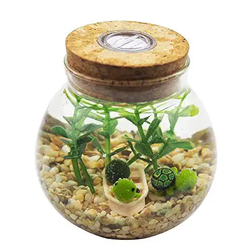 Goldfischglas OMEM Set Mini, Lichter, kleine Schildkröten