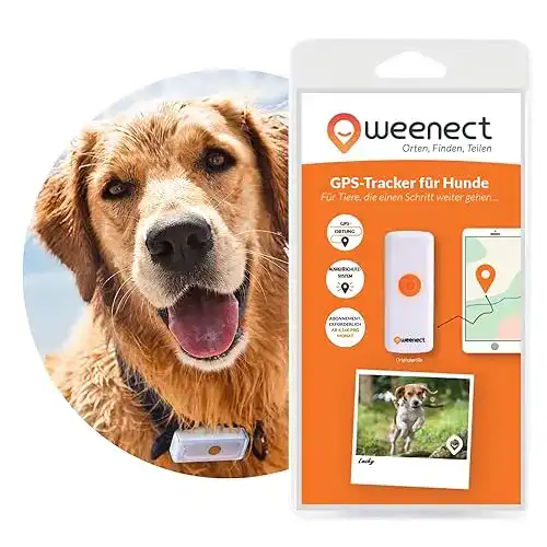 GPS-Tracker Hund Weenect Dogs 2: weltweit kleinster GPS-Tracker