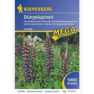 Lupinen-Samen Kiepenkerl – sonstiges Saatgut Düngelupinen 5kg