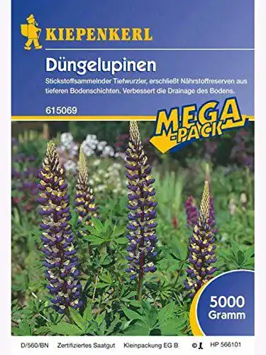 Lupinen-Samen Kiepenkerl – sonstiges Saatgut Düngelupinen 5kg