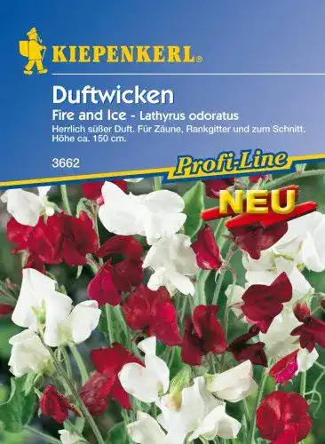 Duftwicken-Samen Kiepenkerl Lathyrus odoratus, Fire and Ice