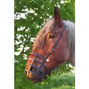 Fressbremse Pferd Heavy Horse Parts Fressbremse Strong