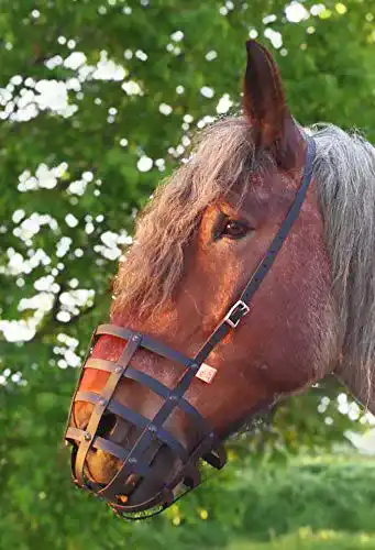 Fressbremse Pferd Heavy Horse Parts Fressbremse Strong