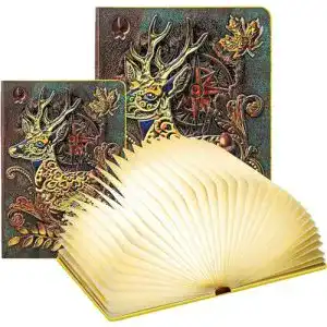 Buchlampe DEVASO Große LED Buchlampe, 3 Farbmodi