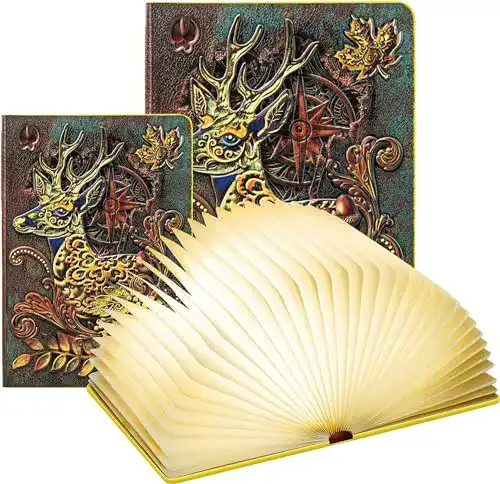 Buchlampe DEVASO Große LED Buchlampe, 3 Farbmodi