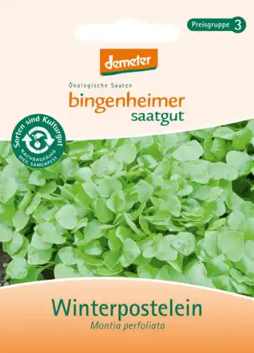 Portulak-Samen Bingenheimer Saatgut, Winterpostelein