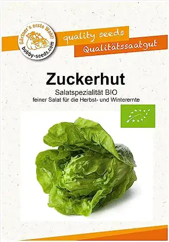 Zuckerhut-Samen Gärtner’s erste Wahl! bobby-seeds.com