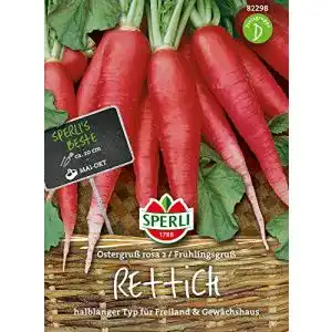 Rettich-Samen Sperli Rettichsamen, Rettich Ostergruß rosa 2