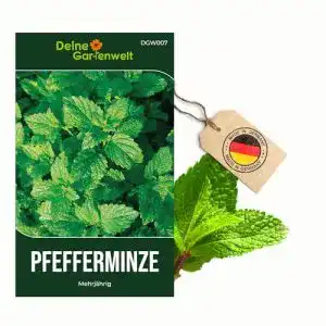 Pfefferminze-Samen Deine Gartenwelt Pfefferminze Mehrjährig