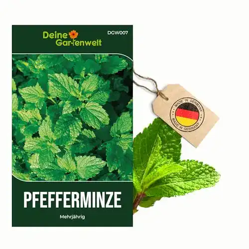 Pfefferminze-Samen Deine Gartenwelt Pfefferminze Mehrjährig