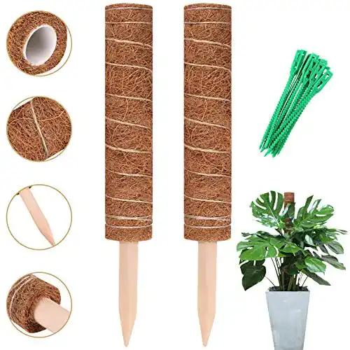 Moosstab yeestone, 2 Stück 40 cm Monstera Rankhilfe
