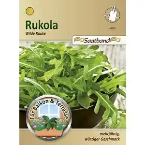 Rucola-Samen N.L.Chrestensen Chrestensen Rukola ‘Wilde Rauke’