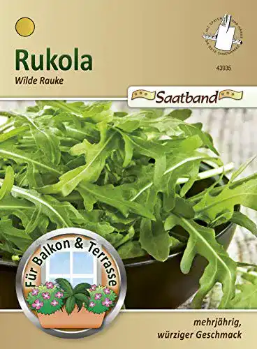 Rucola-Samen N.L.Chrestensen Chrestensen Rukola ‘Wilde Rauke’