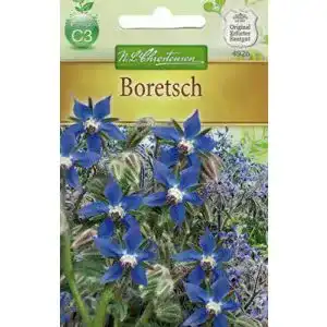 Borretsch-Samen Chrestensen Boretsch