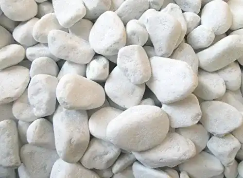 Kieselsteine Xabian 1kg Dekosteine weiß 25-40mm