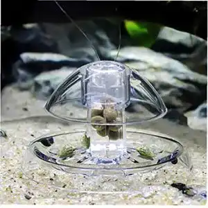 Schneckenfalle Aquarium Amoyer Aquarium Kunststoff Klar