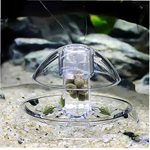 Schneckenfalle Aquarium Amoyer Aquarium Kunststoff Klar