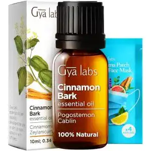 Zimtöl Gya Labs Ätherisches Zimtrindenöl 10ml