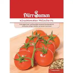 Dürr-Samen Dürr-Samen Dürr Samen 1760 Kirschtomate Philovita