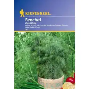 Fenchel-Samen Kiepenkerl Fenchel Mehrjährig