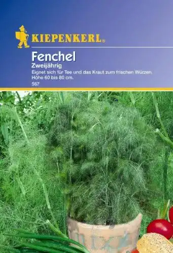Fenchel-Samen Kiepenkerl Fenchel Mehrjährig