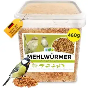 Futterinsekten EWL Naturprodukte Mehlwürmer getrocknet