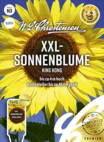 Sonnenblumen-Samen N.L.Chrestensen XXL, King Kong Samen