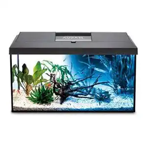 60-Liter-Aquarium Aquael 5905546191692 Leddy 60