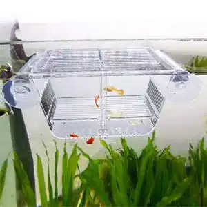 Fischzuchtbecken capetsma, Acryl Fisch-Isolationsbox