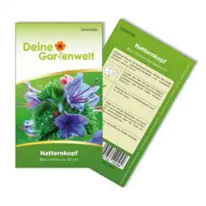 Natternkopf-Samen Deine Gartenwelt Natternkopf blau, 15 Pfl.