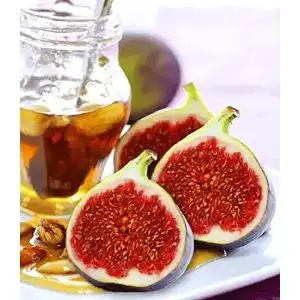 Feigenbaum BALDUR Garten Frucht-Feige Rouge de Bordeaux