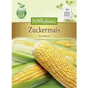 Maissamen Chrestensen Zuckermais ‘ Earlibird’ Zea mays 4334