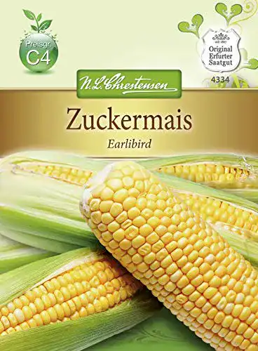Maissamen Chrestensen Zuckermais ‘ Earlibird’ Zea mays 4334
