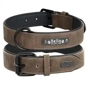 Hundehalsband Didog, weiches, gepolstertes Leder, Namensschild