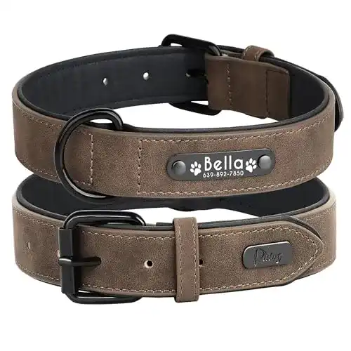 Hundehalsband Didog, weiches, gepolstertes Leder, Namensschild