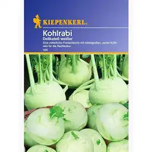 Kohlrabi-Samen Kiepenkerl Kohlrabi Delikatess weisser