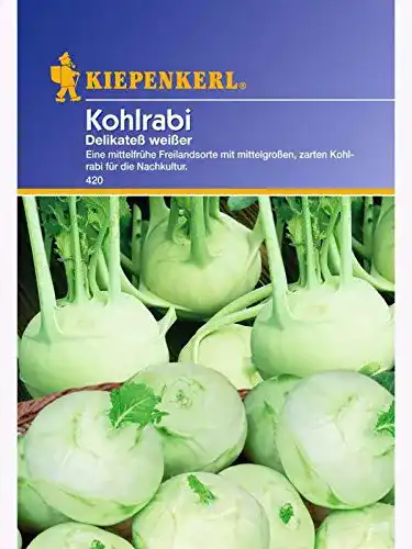 Kohlrabi-Samen Kiepenkerl Kohlrabi Delikatess weisser