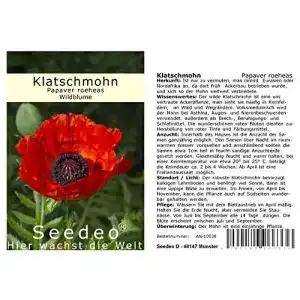 Klatschmohn-Samen Seedeo ® Papaver roeheas 1000 Samen