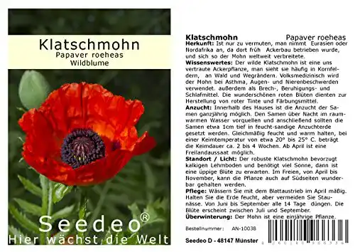 Die beste Klatschmohn-Samen Seedeo ® Papaver roeheas 1000 Samen 2026 Test Bestseller Klatschmohn-Samen Seedeo ® Papaver roeheas 1000 Samen