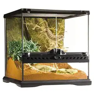 Paludarium Exo Terra Terrarium aus Glas, 30 x 30 x 30cm