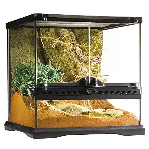 Paludarium Exo Terra Terrarium aus Glas, 30 x 30 x 30cm