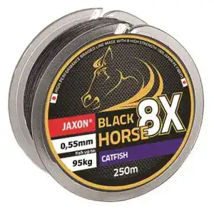 Wallerschnur Jaxon Geflochtene Schnur Black Horse Catfish Wels Braided Line